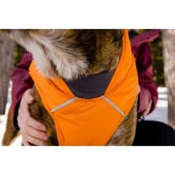 Ruffwear Quinzee™ Hundejacke Orange M -Hundebedarf Geschäft 001bdf29a34dffebf7840b4a759030f83c299732 1370013 de DE 17dd615b14a3a705025267b6458fddf099eb308bn8H5c2