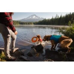 Ruffwear Hydro Plane™ Spielzeug M Orange -Hundebedarf Geschäft 006b8682fcf44b40a786d55bd2f1d1cf7f91a7a7 1364300 de DE b9c71d828876a94633bfda1055d03e137f81043ehPprdP