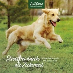 Aniforte Zecken Schild (35 Bis 50kg) Für Große Hunde 60 Kapseln -Hundebedarf Geschäft 010a1fb0eff3b08c7c0fd6ddc69909abba0586dd 1444358 de DE 6b0465714e7043aa512f07a2e3a3c8a3a07d4c02oT8Ojy