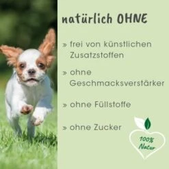 ArthroGreen Junior 25 G 11 ArthroGreen Junior 25 G -Hundebedarf Geschäft 013d32f1d253838d1efc9de0f8c454f921526ea1 1674241 de DE 833c41f64e49fb0cf3ea1fa970839416ee330fd2KA770O