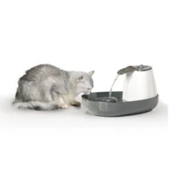 Savic Trinkbrunnen Cascade 7 Savic Trinkbrunnen Cascade -Hundebedarf Geschäft 015652a13201b792a2f2ee6a9e8dd8898bb9683d 8c309c40131ee8faa1171afc3e1d237432cd64c4