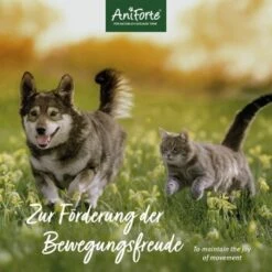 Aniforte MSM Pulver 300g 7 Aniforte MSM Pulver 300g -Hundebedarf Geschäft 015cff2ab7052307a054b07e2455a1716a21bfb4 1472624 de DE 4c4323a13282fd07c53e518bf329d72b94d75ac95mimOv