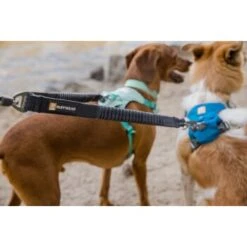 Ruffwear Double Track™ Koppler -Hundebedarf Geschäft 0267da6010c679a8ab58106faebab412e50f7f1f 1651544 de DE b5f45905add92ea48e090102cfb44ba7ff744f85gDkXTG