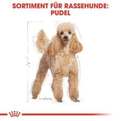 ROYAL CANIN Poodle Adult 7,5 Kg -Hundebedarf Geschäft 032b5ea6cfa49c42570652ccff0f17d6a9c5c3b3 041bf486a1c57468bdf7f77e34e32ac35b6d49d3
