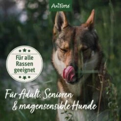 Aniforte Trockenfutter FreelandDuck - Leckere Ente Mit Hirse 2 Kg -Hundebedarf Geschäft 03c12eedba3985ee1134572c8becc3b62e64671b 1662324 de DE 633911faac3a9e48a06680ed5c3e6acdc44879d7RCWWhM