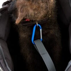 Doctor Bark Hundetragetasche Grau M -Hundebedarf Geschäft 03f00f317766866df9758788ab4f17529834208e 8a36e572228f667afc46c66ada064da9d5cd2b75