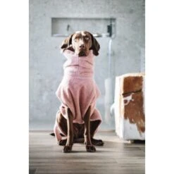Lills Lill's Hundebademantel "Pink Berry" 35 Cm -Hundebedarf Geschäft 04a74783d50cdc98002051c351bf7a8a33cd1745 1349655 de DE 212dae4af17564ba144b7af1fd42f4b436426636rEvFkh