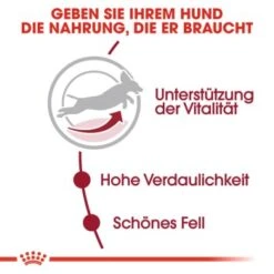 ROYAL CANIN Medium Adult 7+ 15 Kg -Hundebedarf Geschäft 04eb7d87df5b684583bdb34b9dbb8b3c747a2f15 46665ad1d925e10f5abd0570b28093678ef21e27