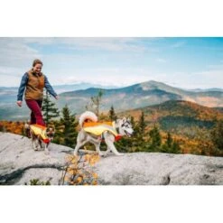 Ruffwear Lumenglow™ High-Vis Hundejacke Orange XL 17 Ruffwear Lumenglow™ High-Vis Hundejacke Orange XL -Hundebedarf Geschäft 055f8ec457e40b7d33e9c275c20ea79bae1e006a 1378153 de DE e8b1f6094bc39d07bc90bd4fe7fc0806cf22bedaBId7iB