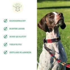 Kipita Polo Hundeleine Classic -Hundebedarf Geschäft 06c4280ca9f0f4d08f00ed0e586db0444f1c823b 1410955 de DE 3f24f27a92305e3175d49b5ce78d80f33ebe0dedEgP7aq