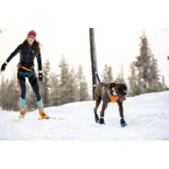 Ruffwear Cloud Chaser™ Hundejacke Schwarz XXS -Hundebedarf Geschäft 06cfa3a745821d84428a1de78da0089ce33c0271 1369623 de DE 87163fc3e147e303fdf97d4ab87fd720c4f34a96nSWmMF