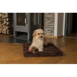 TrendPet VitaMedog Braun Für Comfort Wagon M -Hundebedarf Geschäft 07405e86602560ced1163a302f3d59312e92dc7c 1496697 de DE 71ee9fdb56c876f05b02661e6329cb242daeb80b6BTUU0