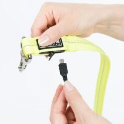 AniOne LED-Leucht-Joggingleine -Hundebedarf Geschäft 07c332f5d4d9e2a31f63b71d8ad5a24a1433ebe3 7bbc325587ff4dbbdffaca386314904882d94061