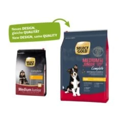 SELECT GOLD Complete Medium Junior Huhn 4 Kg -Hundebedarf Geschäft 0918967bbe2c3501c22acdfca0fa259a745f8c9f 1001478006 1