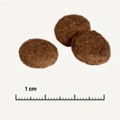 REAL NATURE Country Selection Andalusia Rind Mit Spanischem Kaninchen 12 Kg -Hundebedarf Geschäft 0a7fce7b39ad9a46e9b5bd24525cc5f14df99cb4 1325173 de DE 6