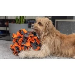 TrendPet Schnüffelball Orange -Hundebedarf Geschäft 0b3adcfec2519e0c6e929e0267a6c980a87babfc 1347789 de DE 4bd3ff6adcaeee7c376418b75c81fae19b8db63bwKh8XT