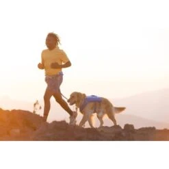 Ruffwear Trail Runner™ Weste Blau XS -Hundebedarf Geschäft 0b5b007ea11304fa0e12a2aa87d6cc6d6e6417b8 1639640 de DE dd2f81006cc91bb9a3794f38bc8a64c6efb41dd51MouDb