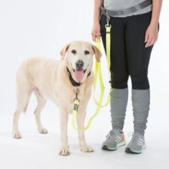 AniOne LED-Leucht-Joggingleine -Hundebedarf Geschäft 0c872bf6382998b141f45fbfb4af3aef217593db 4460cbc445b3acb16f68236254f1a5dd5fbac998