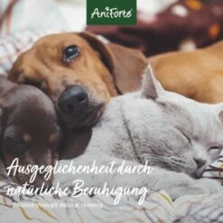 Aniforte Bachblüten Wohlfühl 9 Aniforte Bachblüten Wohlfühl -Hundebedarf Geschäft 0cd967852dfdee41ec01be7a685b667875afe26e 1480464 de DE 560f89e516cd19f6fa4c035a9f065c2ddb1ab7432PWc6B