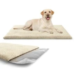 Knuffelwuff Kälteabweisende Und Wärmeisolierende Thermodecke Beige L -Hundebedarf Geschäft 0d048450d3677bbe66ac815d46c1573d77ebc64b 1411793 de DE 26a54309e701e992732d9c1d25392889d55befc3ZZNFAK