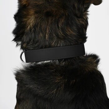 THE DOG IDEA Biothane Halsband Schwarz Schwarz S 2 THE DOG IDEA Biothane Halsband Schwarz Schwarz S – Bild 2