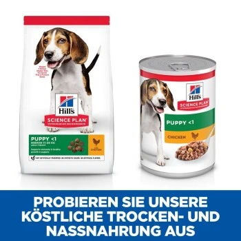 Hill's Science Plan Puppy Medium Mit Huhn 14 Kg 7 Hill's Science Plan Puppy Medium Mit Huhn 14 Kg – Bild 7