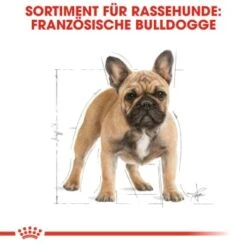 ROYAL CANIN Französische Bulldogge Adult 9 Kg -Hundebedarf Geschäft 1103d82fc7346a11a9ee81a9ab4bdcb41136307d 6122fbb549b8e1d90a8dc5cfef9eb2854b87768f