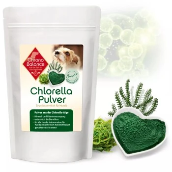 ChronoBalance Chlorella Pulver 100 G 1 ChronoBalance Chlorella Pulver 100 G