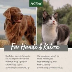 Aniforte Teufelskralle Pulver 250 G -Hundebedarf Geschäft 1129af5e6fdd7620bcbe603f840f1fa32ab4f263 1337239 de DE d209e79c0d9935be673cb478ddae6b5f270dff2bSkXDU9