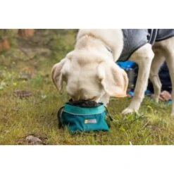 Ruffwear Quencher Cinch Top™ Napf Entenbraun L 13 Ruffwear Quencher Cinch Top™ Napf Entenbraun L -Hundebedarf Geschäft 12c045082a44359f6775d3e7005e1039151a5ded 1651468 de DE 65c7c00ffa4a6b339dfbdd20a6b57d674256cb44oMcOyM