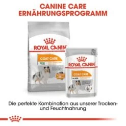 ROYAL CANIN Coat Care Mini 8 Kg -Hundebedarf Geschäft 133c840af8d235b272661b5446582ca68fb80847 2a2f1d08d73392c49ccc2444029f0ea868710279