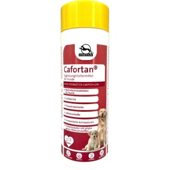 Fortan Cafortan Multivitamintabletten 1 Fortan Cafortan Multivitamintabletten