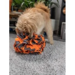 TrendPet Schnüffelball Orange -Hundebedarf Geschäft 150c7485ceb45f446eae94d286af034396b6b839 1347789 de DE 0d959a3cb36067968769c2d102a66fcc1f59a724hVebVb