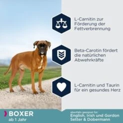 EUKANUBA Breed Specific Boxer 12 Kg -Hundebedarf Geschäft 150ce633efb06df2286f6b436dd0b99ce4031557 35ba2b1deb9369de7faf09856f79dd7dd41aa4c5