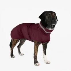 THE DOG IDEA Regenmantel Kayden Bordeaux XXXS -Hundebedarf Geschäft 15199a1306a3ace800e507518b9566b7fa68dccf 1681344 de DE 94a97a0c60e07ef5f6aadab2583dc6e8415511e0pXx3H5