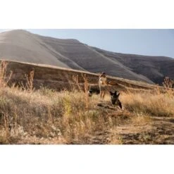 Ruffwear Hover Craft™ Spielzeug Orange 15 Ruffwear Hover Craft™ Spielzeug Orange -Hundebedarf Geschäft 15670c7f824cb67257971dca32974b68eba14a2f 1364297 de DE f53c4ca5615bcabb9ccbd712339b8f568f29402frPrk2m