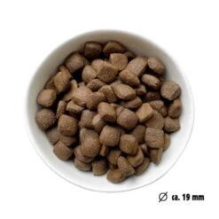 Eat Small EatSmall 10kg Maxi Active Trockenfutter 10 Eat Small EatSmall 10kg Maxi Active Trockenfutter -Hundebedarf Geschäft 15c9b25fa5ac5f52428ce0f946d31f08966c0eed 1450722 de DE 7be7b6abbd10a501ad4eda906b0ca458956766a16RBCBF