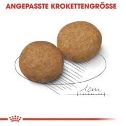 Hundebedarf Geschäft -Hundebedarf Geschäft 1740446454718d8879721421432fd9c486685a7d 3af3f1fd0fcad677e31ec1323f198700b27f7c1a