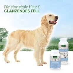 Aniforte Bierhefe Tabs 250 Stück 6 Aniforte Bierhefe Tabs 250 Stück -Hundebedarf Geschäft 194db18c91f9d7515bcb327c290c2a86a9a9d2bd 1665875 de DE 55a321ba51220f5e7ebe294e40ae1fd15cd2e4adIn1kzW