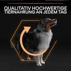 PRO PLAN Optibalance Medium Adult 3 Kg -Hundebedarf Geschäft 19d1016d3469138f7c27a73bd29226a6dea5ac45 1206414 5