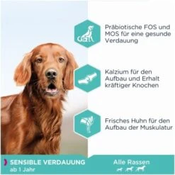 EUKANUBA Daily Care Sensible Verdauung 12 Kg -Hundebedarf Geschäft 1a7d954ffcf2645186347fe3a5210755c5368933 4414615294b74dc58e6a1119f8cd6be9a67be173