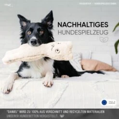 Freudentier Nachhaltiges Hundespielzeug Daniel -Hundebedarf Geschäft 1d76f528eae39671e4d1834457219c343008a2d3 1408970 de DE eaef6ecd52d3d4c991411f4325e77d342eb1ce7eIH205L