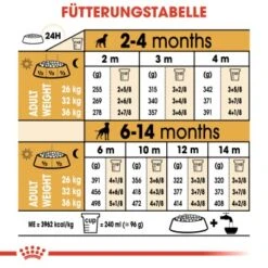 ROYAL CANIN Boxer Puppy 12 Kg -Hundebedarf Geschäft 1d7f5e3d2a00d175774adf8c01d791ebe8277dfc 6dff00cd99ccb72aecf4367e12827d5743855c22