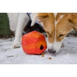 Ruffwear Gnawt-a-Rock™ Spielzeug Blau 18 Ruffwear Gnawt-a-Rock™ Spielzeug Blau -Hundebedarf Geschäft 1df4ce0c3e2b13b9dde849014a9b4637ff5fbf94 1639879 de DE 625c8d7bd239fd4e64b055b3b2574c1b5400a391xF45nb