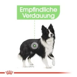 ROYAL CANIN Digestive Care Medium 12 Kg 11 ROYAL CANIN Digestive Care Medium 12 Kg -Hundebedarf Geschäft 1e02a6b838f0788c7a008149b787240ab36ed38b 1376251 de DE uahs 4