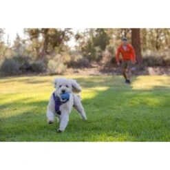 Ruffwear Huckama™ Spielzeug Violett -Hundebedarf Geschäft 1e25287ed59c30d76e9b799ca71232e607c6932b 1639706 de DE 4cde75bd4ef04e9f936b40473471e71f69a39443R9gkOp