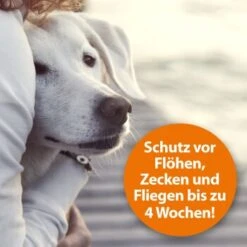 Ardap Flohspray Zur Anwendung Am Tier 250ml 10 Ardap Flohspray Zur Anwendung Am Tier 250ml -Hundebedarf Geschäft 1e38b7747570a91b3fd009f3974005664ac2d015 1227735 de DE 3ce23e78efb3686272f02c09e5ca6ade74ba7902gmBWUo