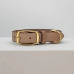 THE DOG IDEA Leder Halsband Beige XL 5 THE DOG IDEA Leder Halsband Beige XL -Hundebedarf Geschäft 1ec48d2972c0e1dfe6ea7297404e371c480b6f93 1674216 de DE e62f018514b26e403cf6836ac6a855f79abfd60fyH1vTH