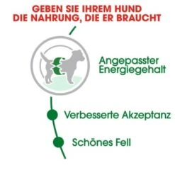 ROYAL CANIN Mini Adult 8 Kg -Hundebedarf Geschäft 21a75e18dd1e934195f6d0b5ad84a9570a91191d c720d53d881e68ef8e0f57239191ef1e7e47842d