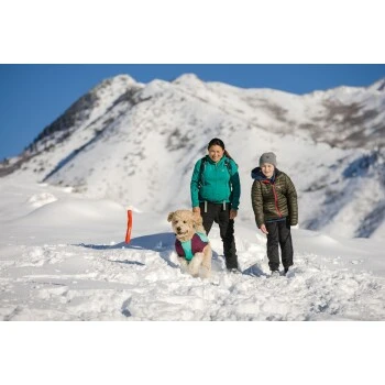 Ruffwear Gnawt-a-Stick™ Spielzeug Blau 8 Ruffwear Gnawt-a-Stick™ Spielzeug Blau – Bild 8